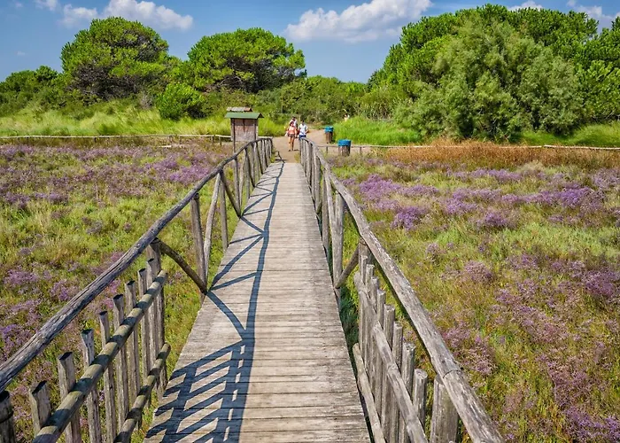 Helen * روسولينا ماري