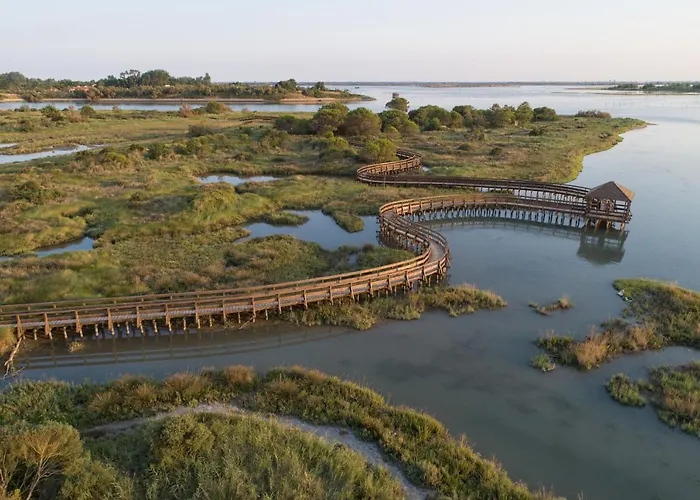 Helen فيلة روسولينا ماري